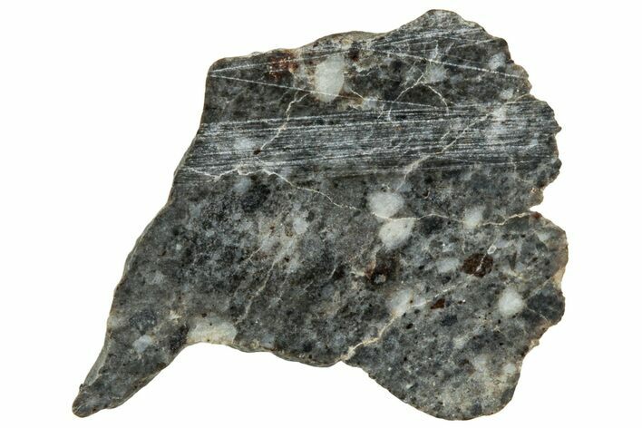Lunar Meteorite ( g) Slice - Laayoune #313345